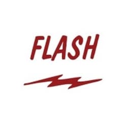 FLASH logo