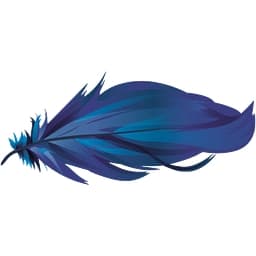 LIGHTFEATHER IO LLC logo
