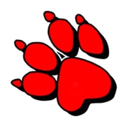 Naughty Dog logo