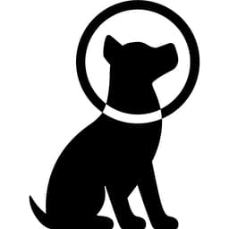 Outerspace logo