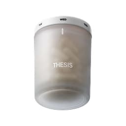 Thesis logo