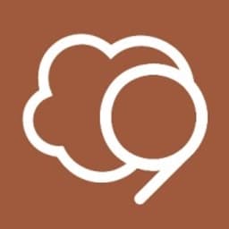Cloud9 logo